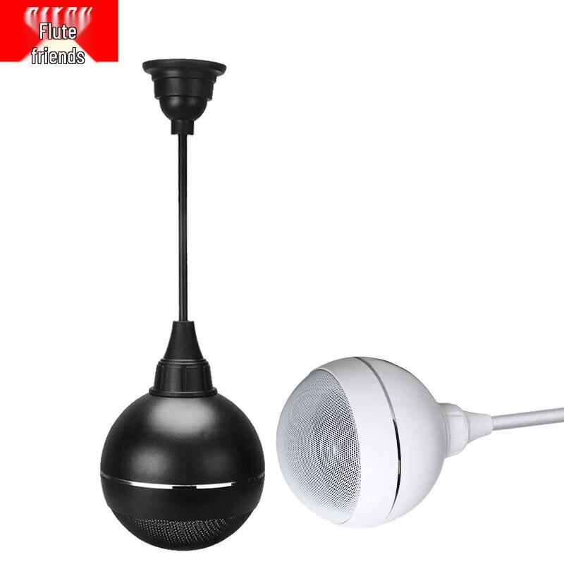DIYOO Ceiling & Pendant Speaker System