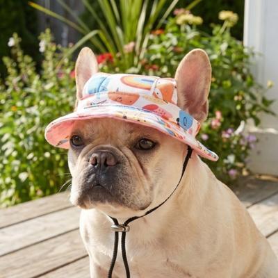 Adjustable Pet Cat Sun Hat Cartoon Animal Pet Baseball Cap Dog Sunscreen Hat  Outdoor Travel