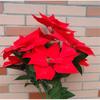 Bushes Party Supplies Christmas Decoration Christmas Bouquets Simulation Bouquet Xmas Decor