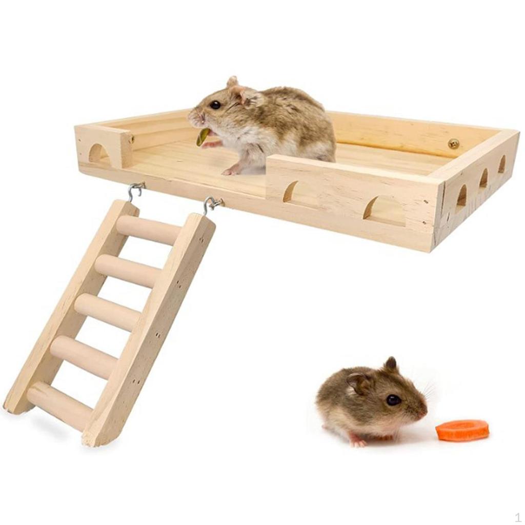 Conjunto de brinquedos de escalada para pássaros para pequenos animais de estimação