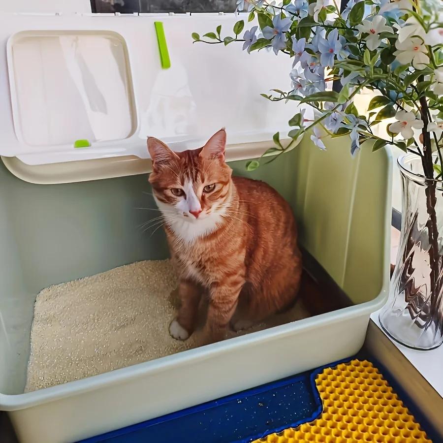 Extra Large Cat Toilet, Portable Detachable Litter Box, 2 Doors, with Handle, Suitable for Cats Under 20kg/44lb