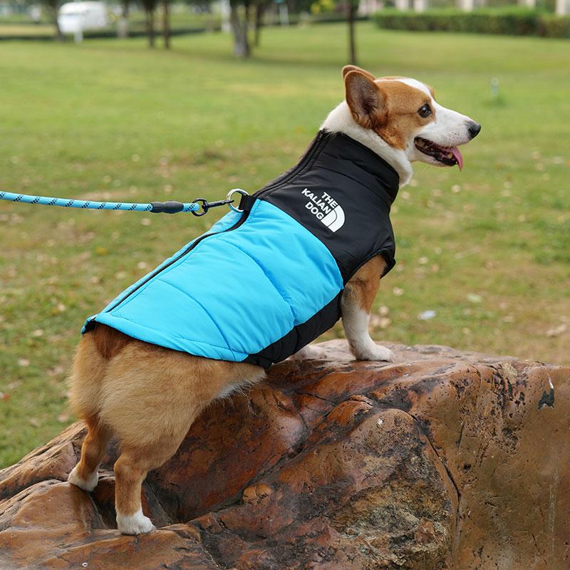 L-7XL Invierno Impermeable Cálido Chaqueta Corgi Cálida Chaqueta para Perro Perro Mediano Perro Grande Labrador Ropa para Salir en Invierno