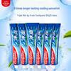 Triple Mint Icy Cool Toothpaste (6 X 120g)