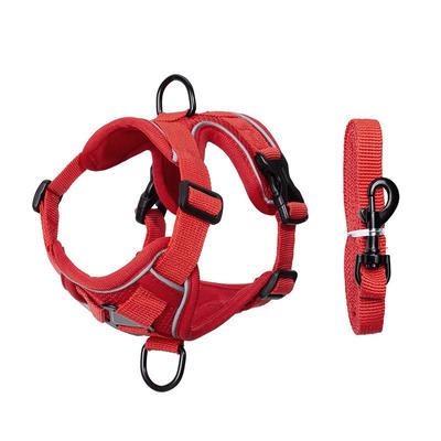 Verstellbares Doppel-D-Ring-Geschirr für Haustiere & Anti-Ausbruch-Leine - Leichtes Nylon