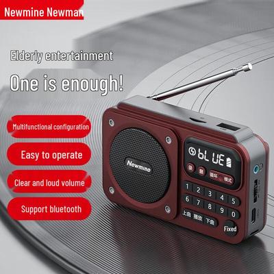 Newmine N123 Tragbares Radio für Senioren CN-Stecker (Adapter enthalten)