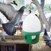 Automatic Pigeons Water Dispenser Auto Filling Gravities Drinking Bottles Leak Proof For Bird Cage