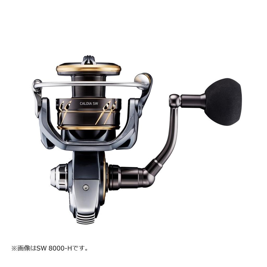 Daiwa Stationärrolle 22CALDIA SW 8000-P