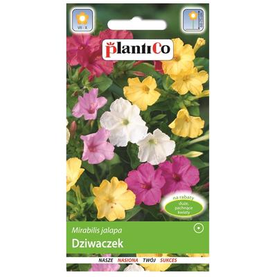 Dziwaczek Flower Seeds 3g for the Garden