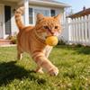 Wool Ball Cats Toy, Run And Play With, Entertain Yourself, Reduce Boredom, Cats Ball, -Resistant And Silent.