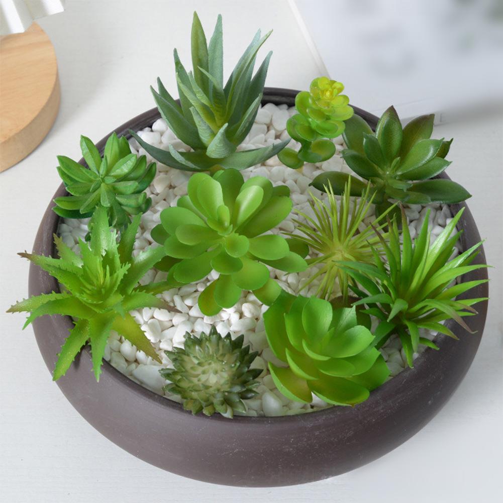 Charming For Bonsai Succulent Arrangement For Home Office Decor Artificial Succulents Plant Small Bonsai Decor Without Basin