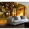 Sunny Path Forest Landscape Room Decoration Painting 3d Wall Murals Wallpaper