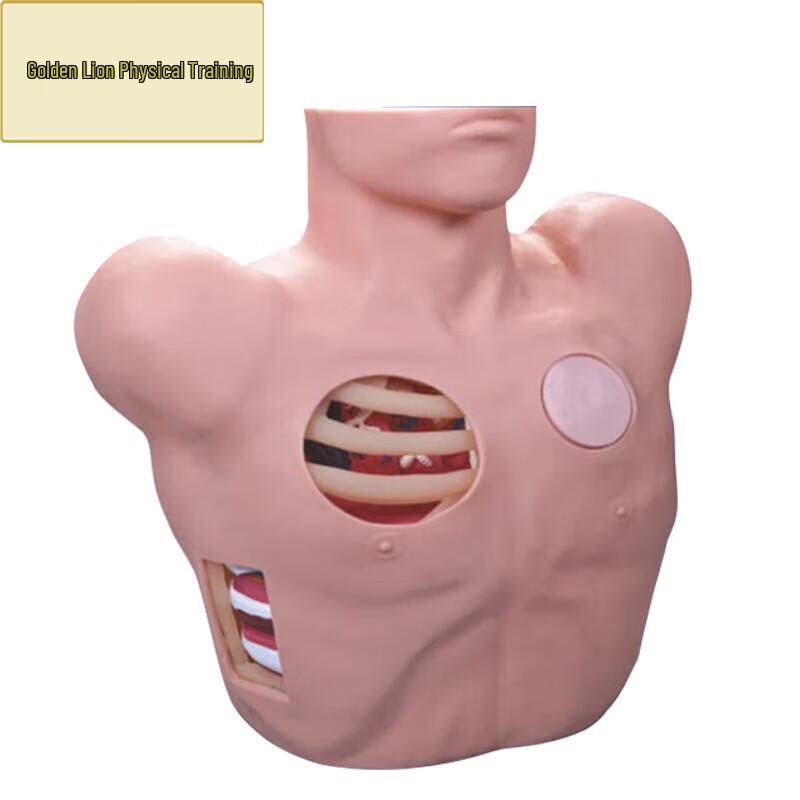 Thoracic Puncture Training Manikin