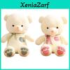 Love Bear Plush Toy Heart-to-heart Couple Bear Doll For Girls 4 Sizes Available!