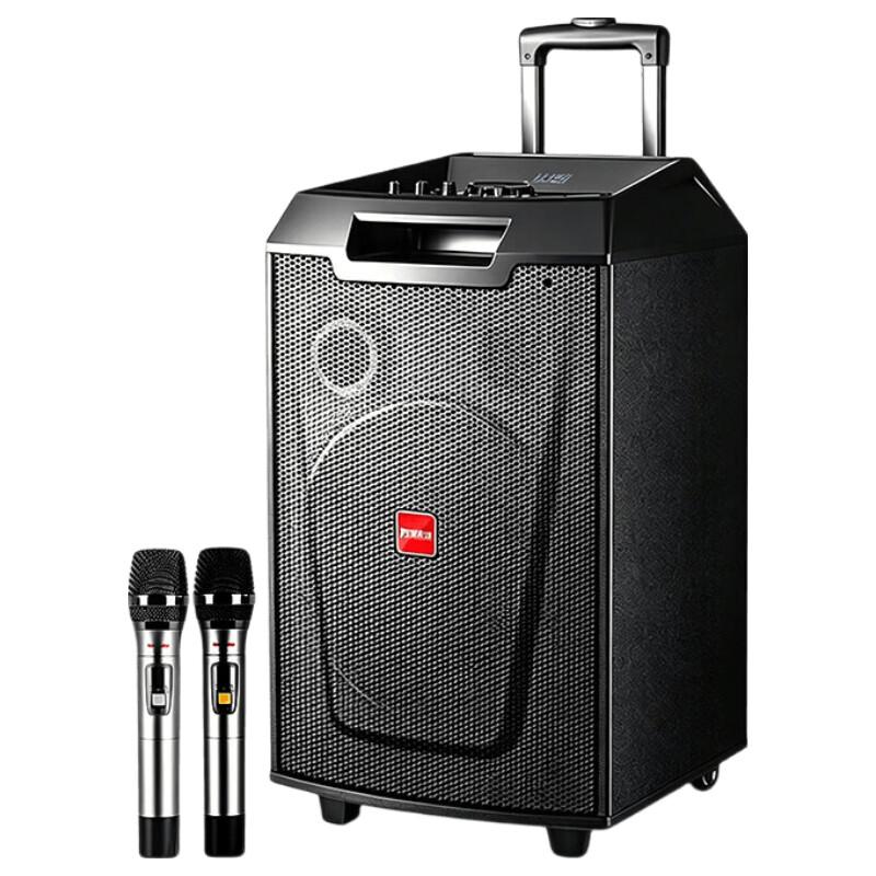 Malata M+9047 12-inch Portable Bluetooth KTV Speaker (CN version)