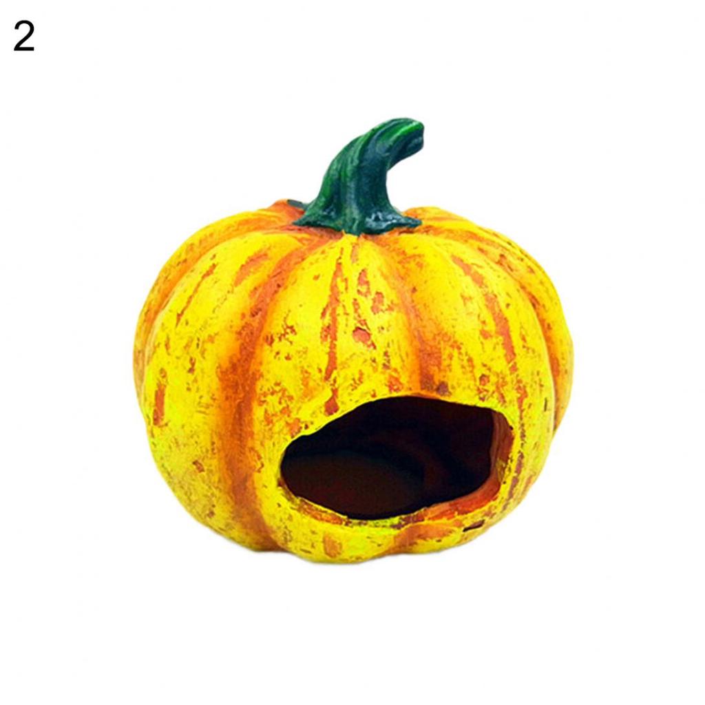 pumpkin fish tank