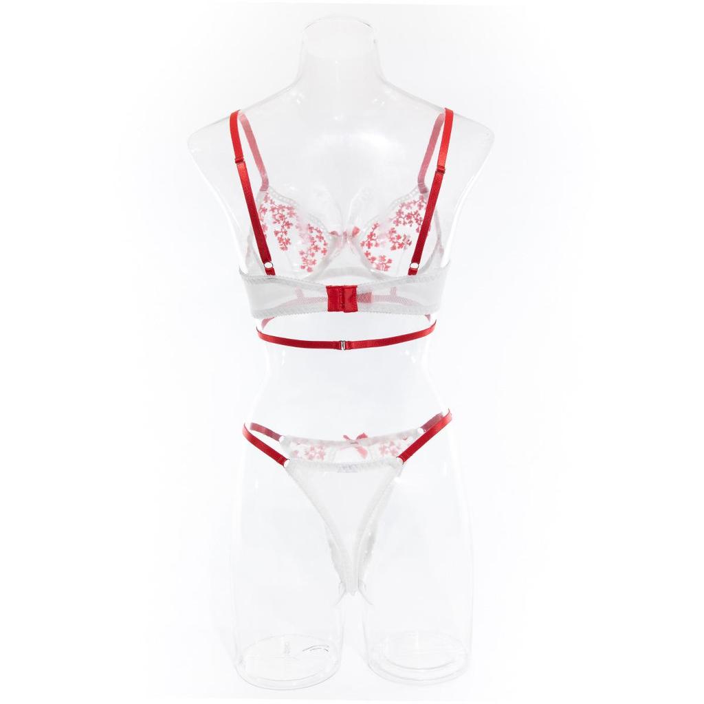 Sexy Color Block Embroidered Lingerie: Transparent Push-Up Two-Piece Set