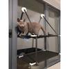 Cat Hammock Suction Cup Windowsill Cat Comfortable Hammocks Summer Breathable Mesh Single/Double Hanging Beds Pet Accessories