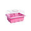 Colorful Seedling Tray with Ventilation Holes for Home Balcony Planting