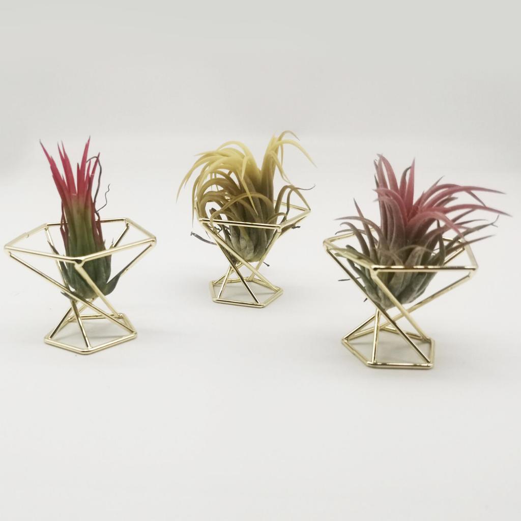 Ananas Pflanzenständer Geometrischer Luftpflanzenständer Puderdosenhalter Roségold (Material: Metall, Größe: Durchmesser 55MM)