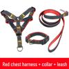 Multi-Size Dog Leash & Collar Set for Walking - Suitable for Small To Large Breeds