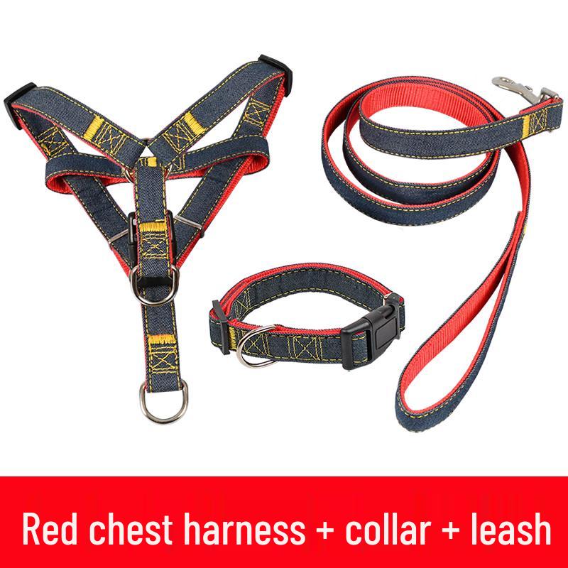 Multi-Size Dog Leash & Collar Set for Walking - Suitable for Small To Large Breeds