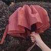 Accessoires – Paraplu's