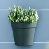 Flower Pot Simple Elegant Semicircle Wall-mounted Garden Plant Succulent Pot Gardening Supplies