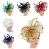 Stylowy Fascinator Nakrycie głowy Suknia formalna Ślubna Siateczkowa czapka Elegancki Cylinder Opaska Urodziny