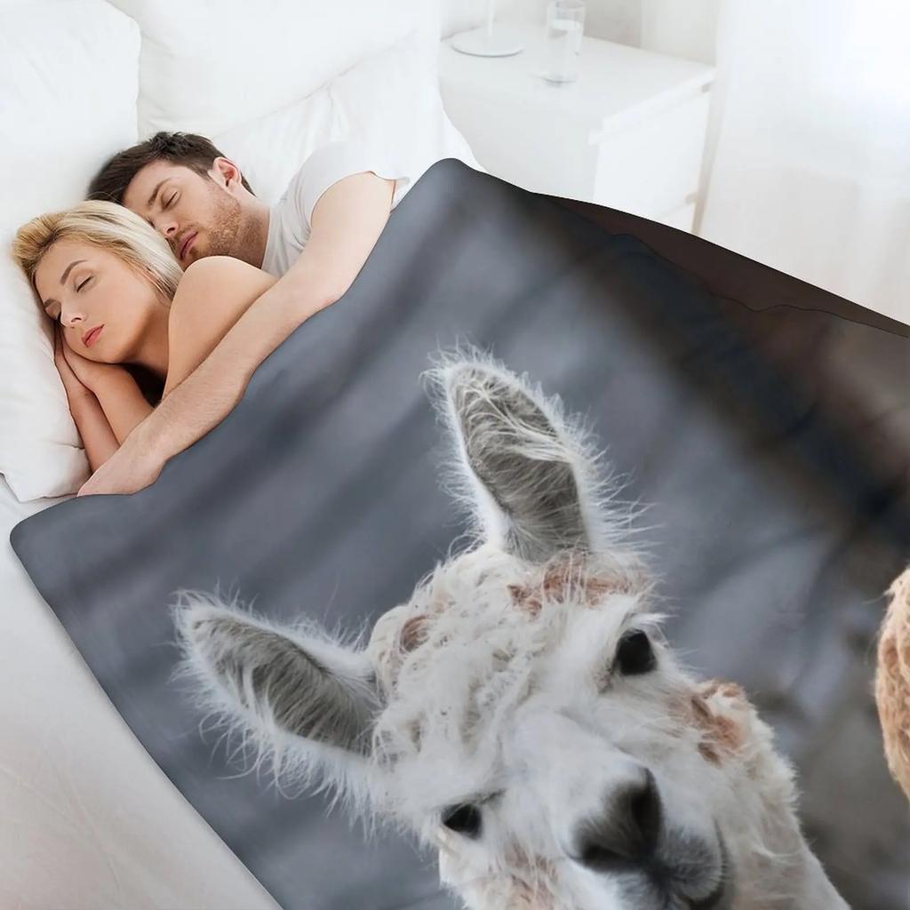 Curious alpacas cute animals Throw Blanket Warm Comfortable Blanket for Office Napping