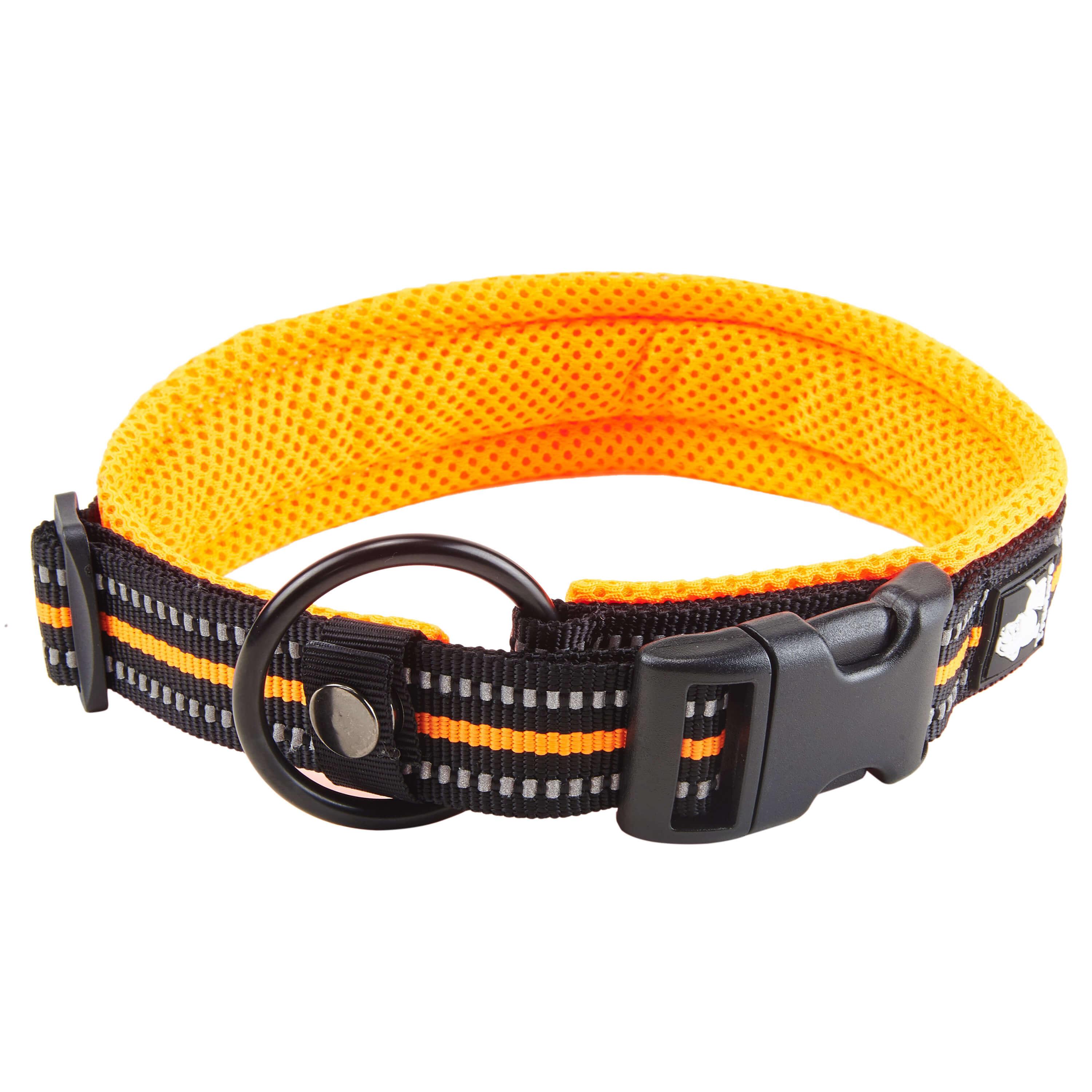 

Truelove Reflective Dog Collar with Plastic Clip-in Buckle, High-grade Soft Padded Nylon Webbing, No Choke Basic Collars (XS, Orange) Orange XS#1