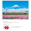 Yanoman [Made in Japan] 500-Piece Jigsaw Puzzle: Japanese Scenery - Lotus Flowers and Mt. Fuji (Shiz