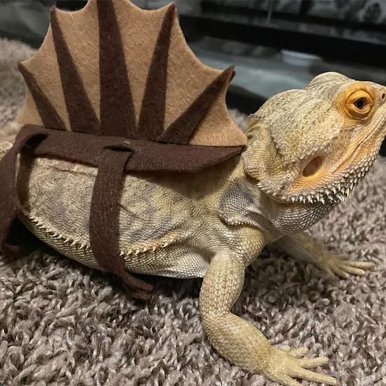 Lizard Costume Realistic Comfortable Touch Dinosaur Shape Reptile Bearded Dragon Lizard Apparel Clothes Outfits for Fun