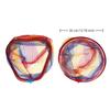 Aluminum Alloy Fishing Nets Head Fishing Scoop Colorful Fishing Hand Net Durable Ultralight Landing Net Fishing Tolls