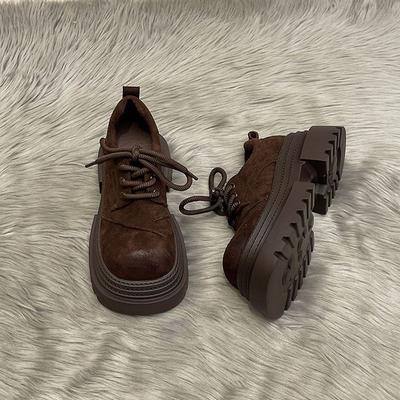 European Matte Leather Big Head Lace-up Single Shoes Women's Spring 2025 New Thick-soled Versatile Muffin Mary Jane
