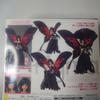 [USED] Figma 154 Kuroyukihime (School Avatar Ver.) Accel World