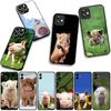 Cute Pig funny Phone Cover Case for Samsung Galaxy A36 A17 A26 A07 A35 A54 A53 A13 A33 A34 S8 S9 S20 S21 FE S10 Plus Casing