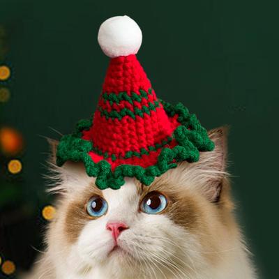 Kedi – Kediler için giyim