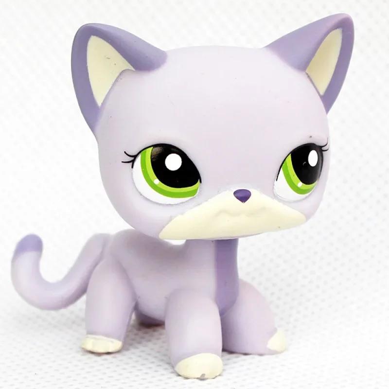 Rare Littlest Pet Shop Lps Toy Toy Mini Stands Short Hair Kitten Old Figures Collection Al Bobble Head Toy