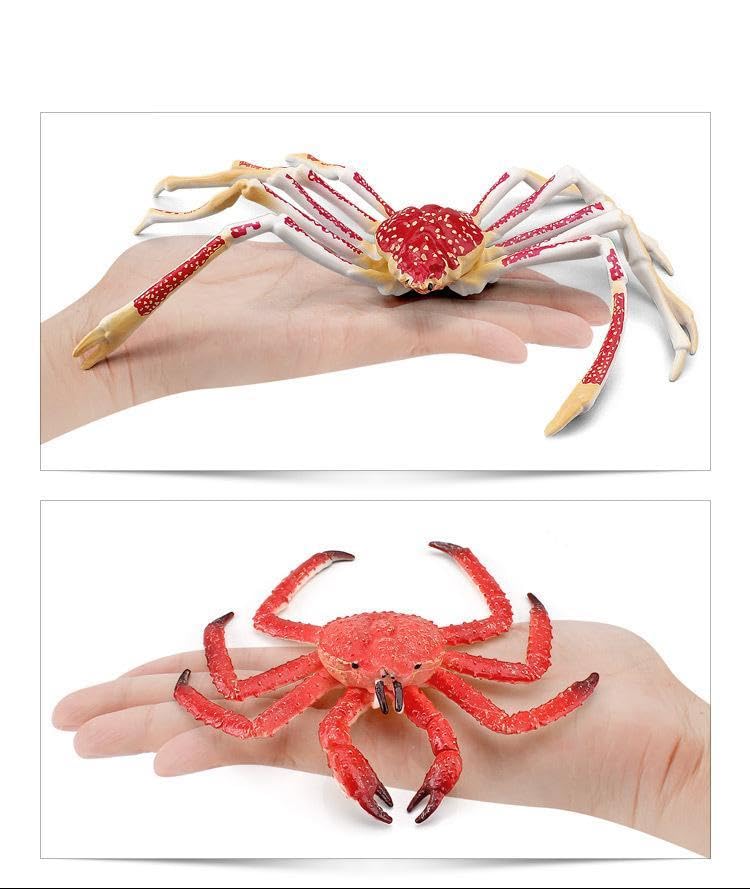 Nekogamiyama King Crab & Spider Crab Set of 2 Sea Creatures, Crustaceans, Crab, Fish Figurines, Models, Miniatures, Ornaments, Decorative Ornaments,