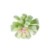 Mini Artificial Succulent Plant in Decorative Pots Stylish Accent Piece