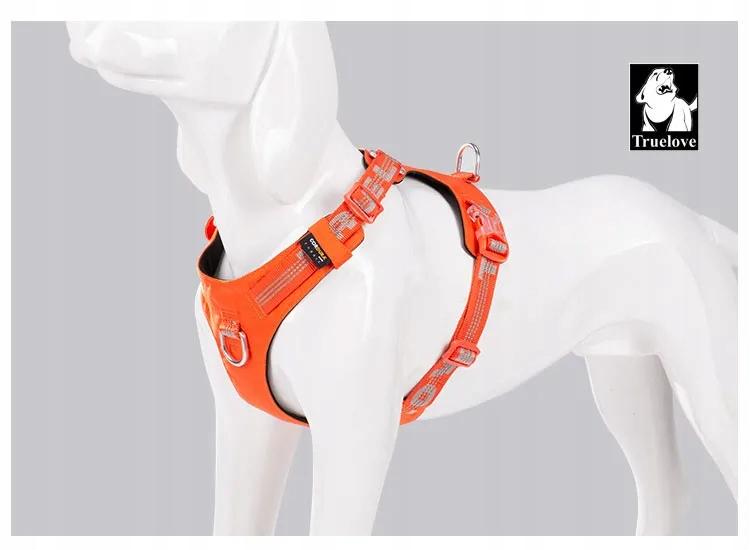 Lekkie szelki dla psa adventure dog truelove xxs