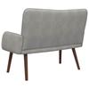 2 Seater Sofa Light Grey 115 x 61 x 87 cm Velvet (V)