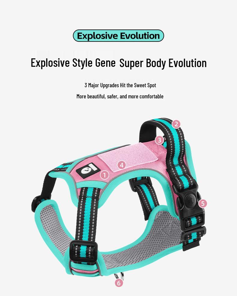 Large Dog Vest-Style Harness with Velcro & Shock-Resistant Leash