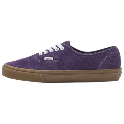 Authentische Skateboard-Schuhe Unisex Lila VN000EGA11E