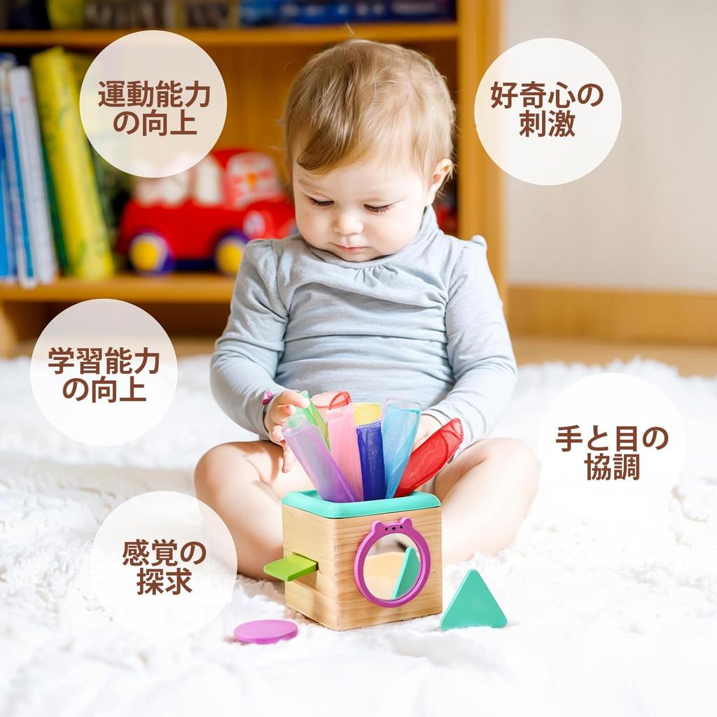 Montessori Educational Toys for Ages and Tissue Early Educational Baby Toys 0, 1, 2, 3, Toys, Development, Box, Boys/Girls,