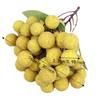 Handwerkskunst Simulation Longan Lebensecht Obstmodell Heimdekoration Künstliche Frucht Blumenarrangement