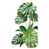 Large Monstera Plant Self Adhesive Wall Sticker for Living Room Corridor Entrance Hall Room Door Home Decor Fresh Green Vinyl Art