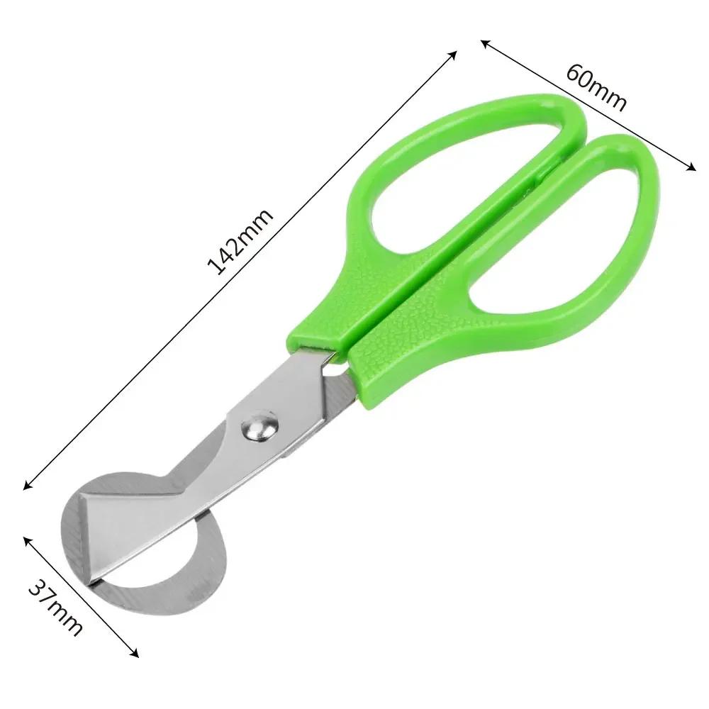 WIKHOSTAR Stainless Steel Quail Egg Shell Scissors Egg Scissors Cigar Cutters Rust Resistant Kitchen Gadgets