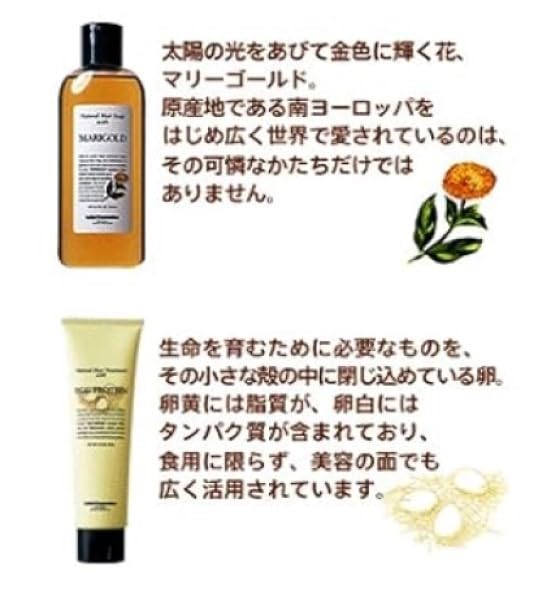 Lebel Natural Hair Treatment with RP Rice Protein 1600ml [BOOM Original Exclusive]