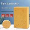 Steamer Cleaning Sponges